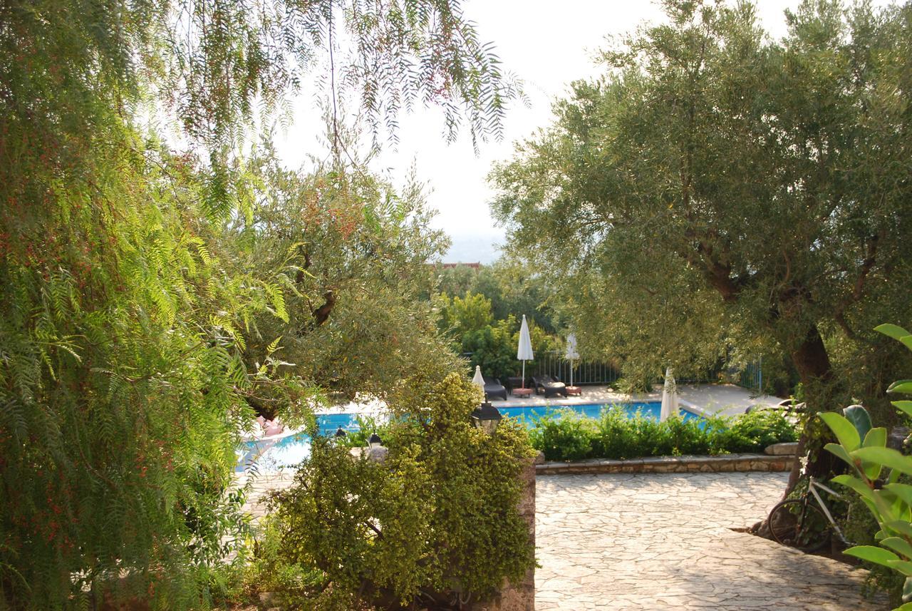 Anatoli Labreon Hotell Agia Marina  Exteriör bild