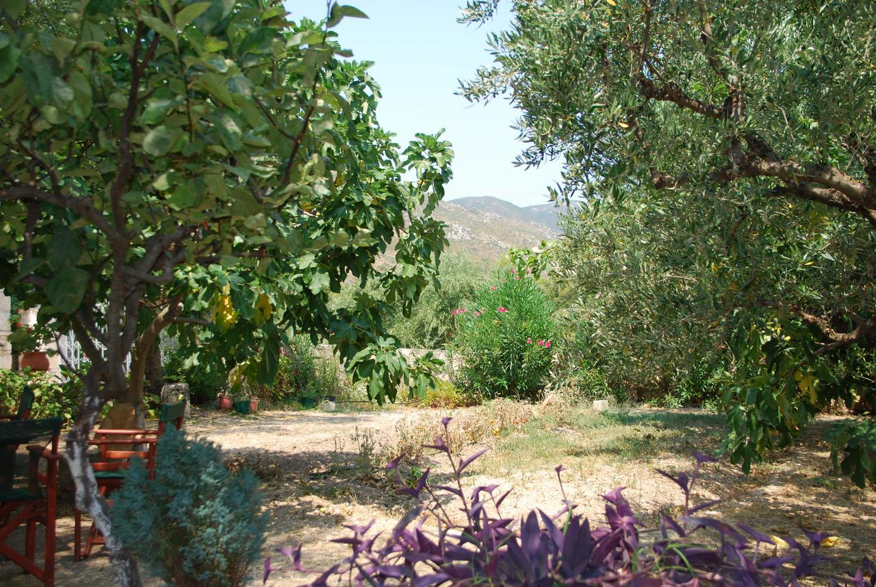 Anatoli Labreon Hotell Agia Marina  Exteriör bild
