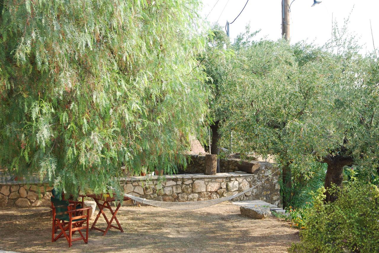 Anatoli Labreon Hotell Agia Marina  Exteriör bild