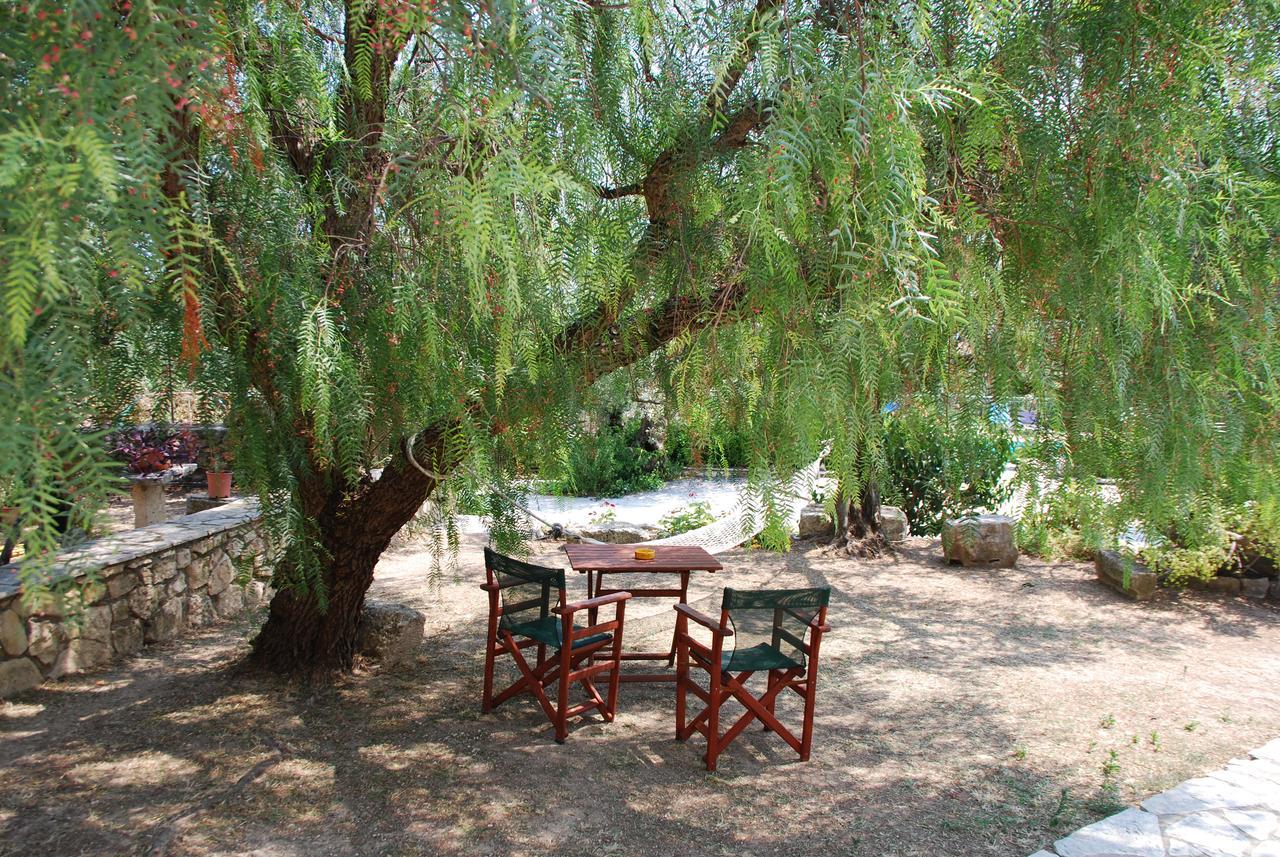 Anatoli Labreon Hotell Agia Marina  Exteriör bild